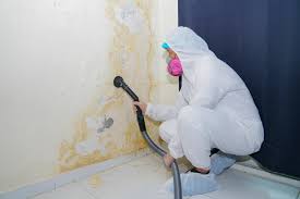 Best Mold Prevention Services  in Medina, NY